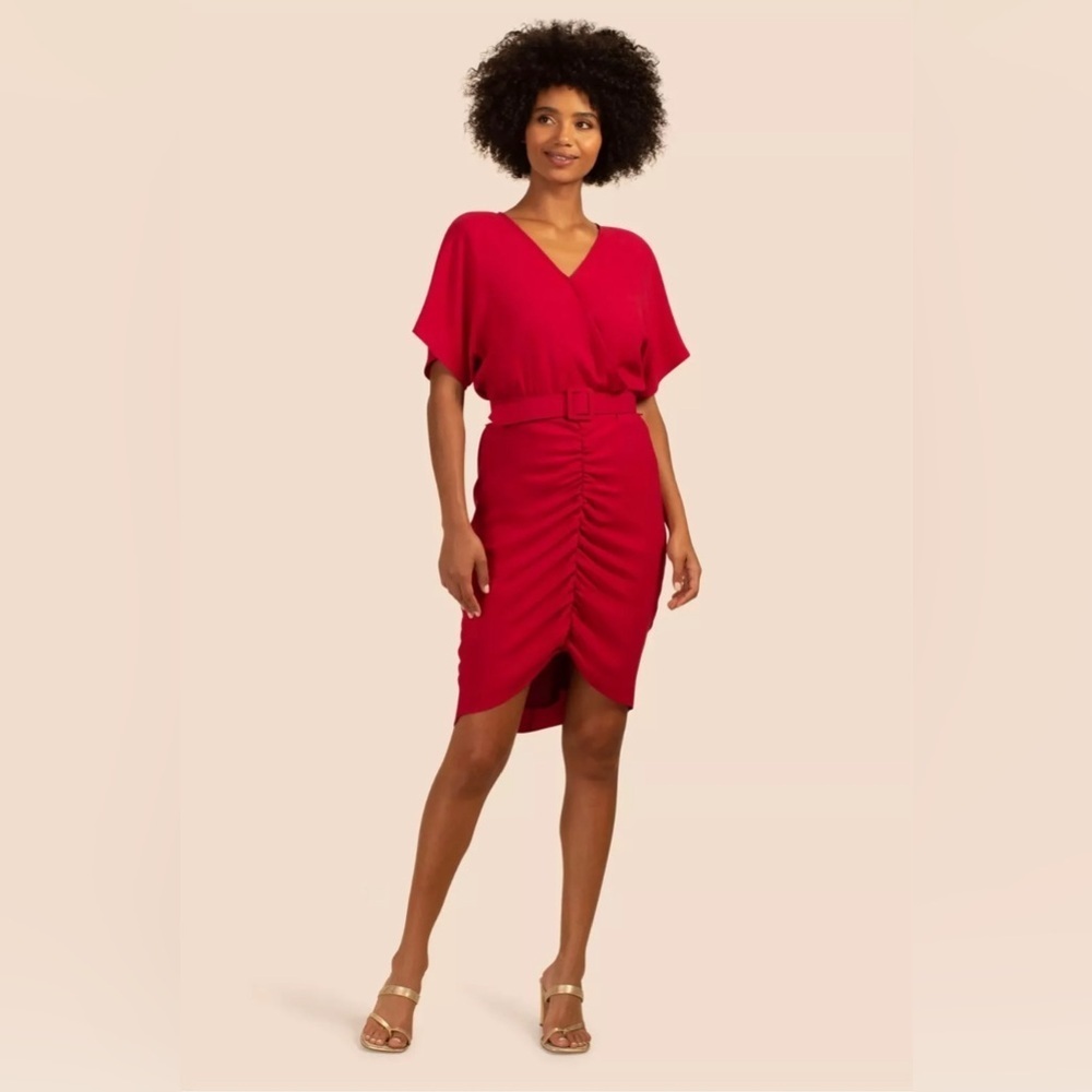NWT Trina Turk Zest Dress in Sangria